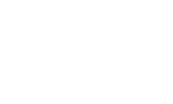 Big Picture Supplements